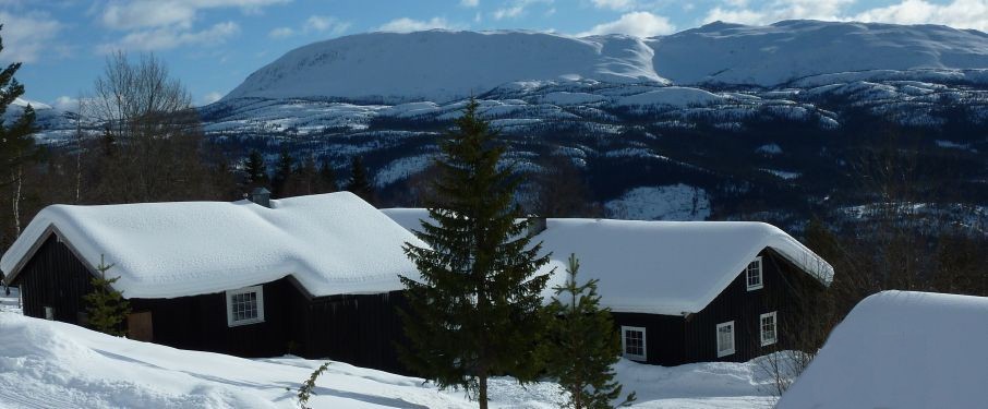 01 hjartdal fjellstoge