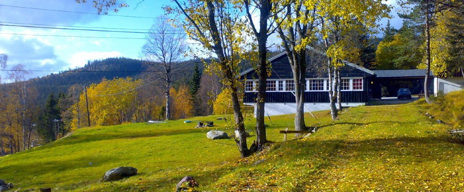 03 hjartdal fjellstoge